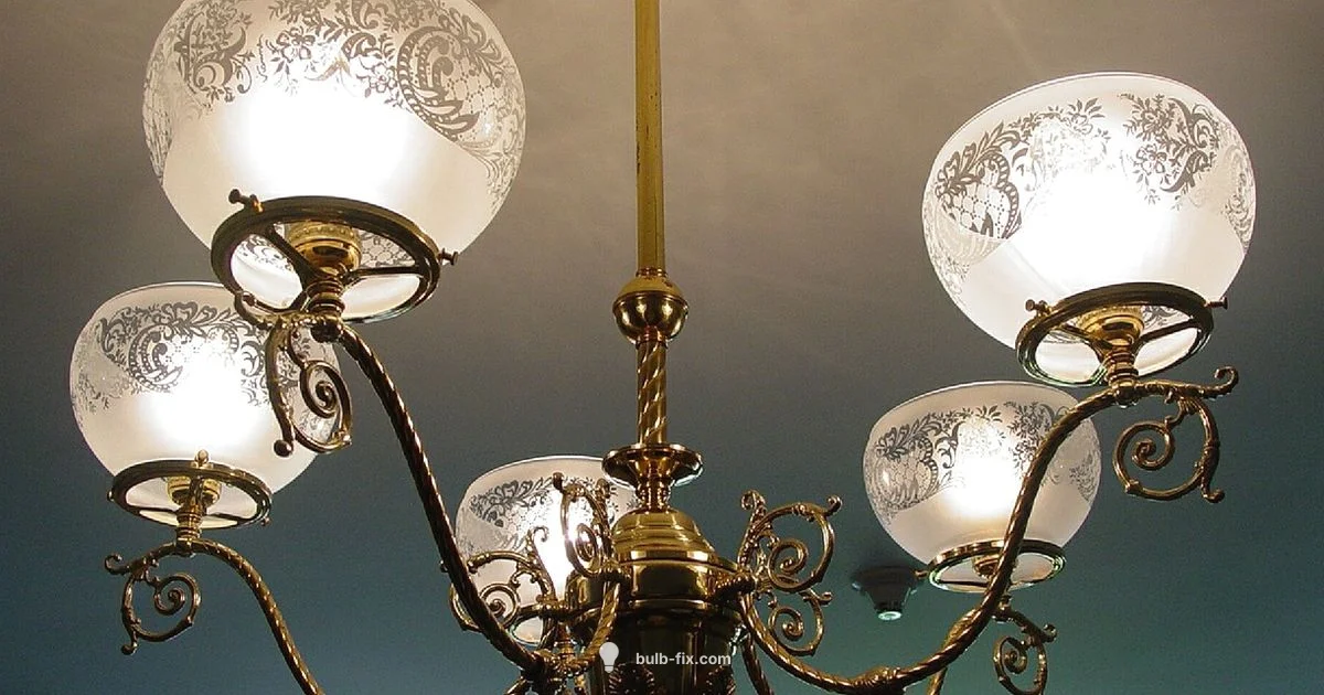 G9 Bulb Guide - Bulb Fix