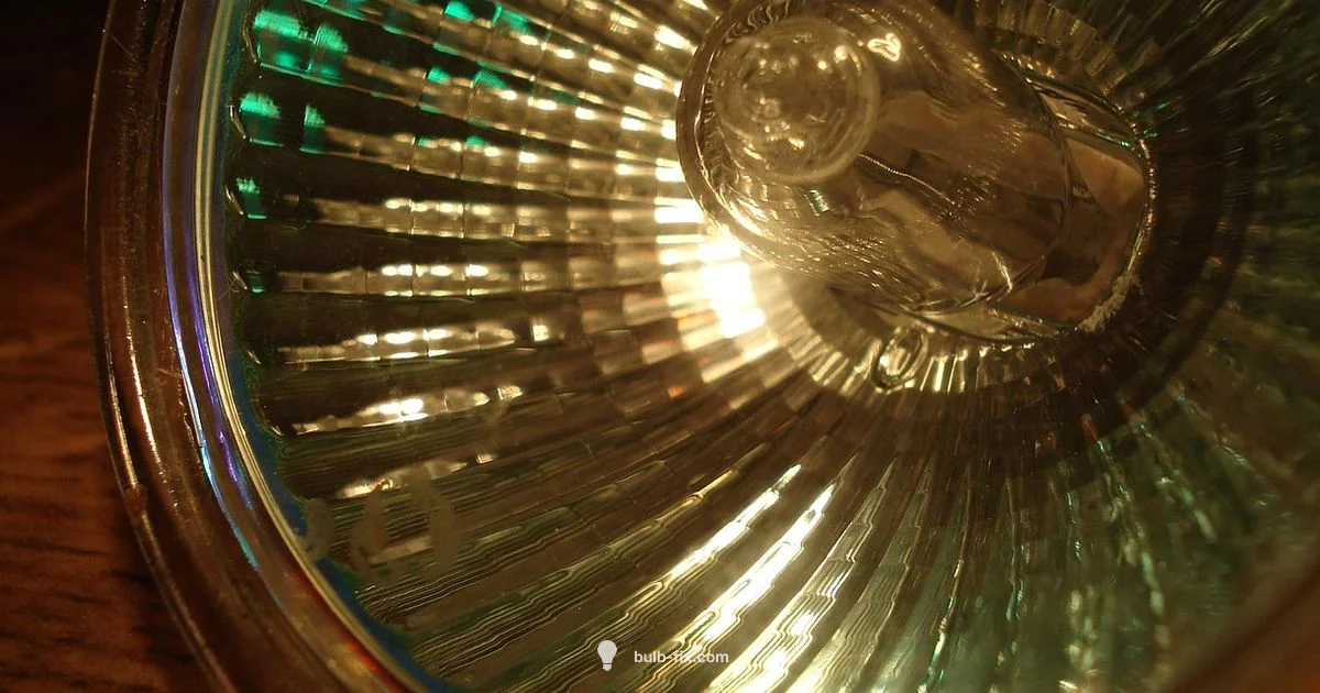 Halogen Guide - Bulb Fix