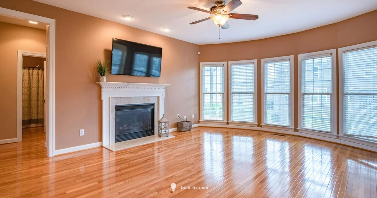 Bulbs for Ceiling Fans - Bulb Fix