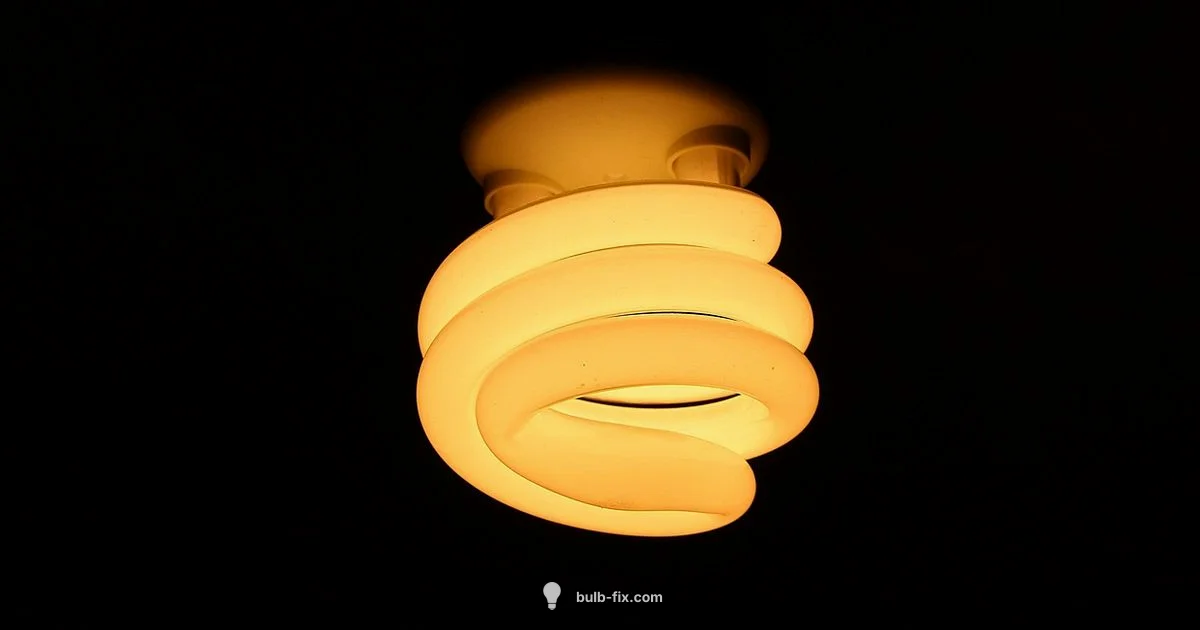 Energy Saving Bulbs - Bulb Fix