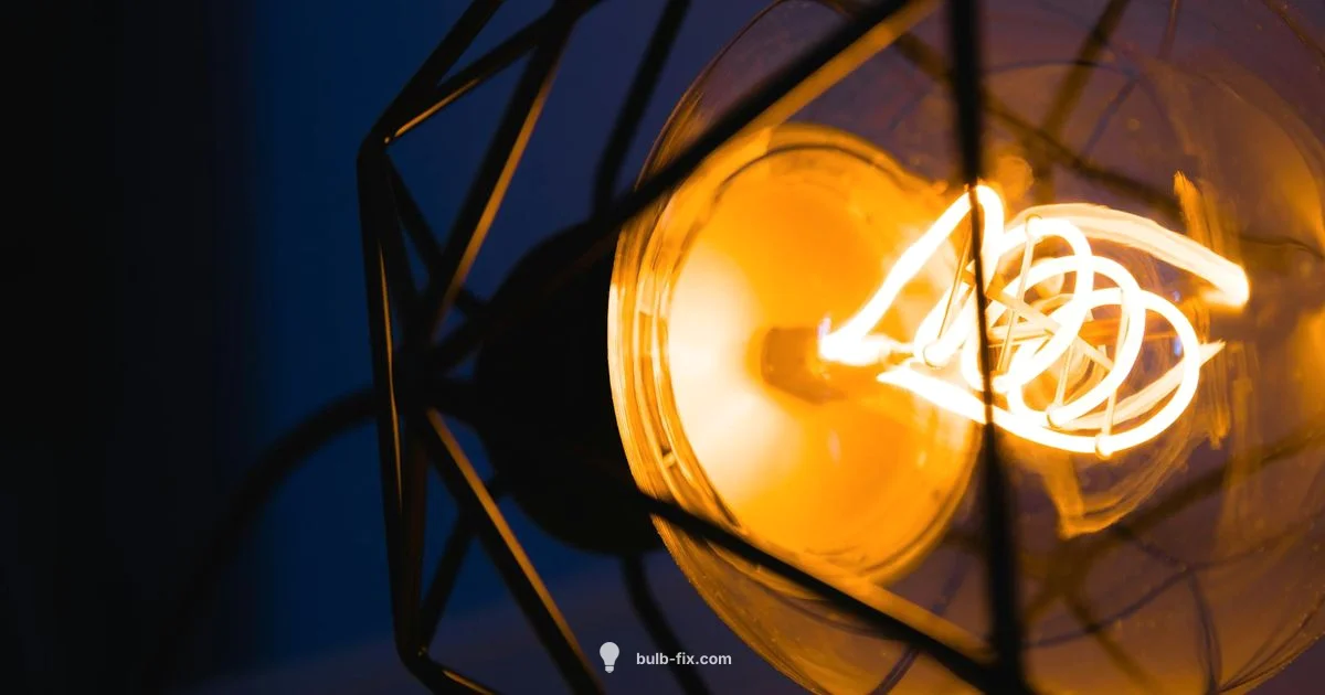 Small Bulb Guide - Bulb Fix