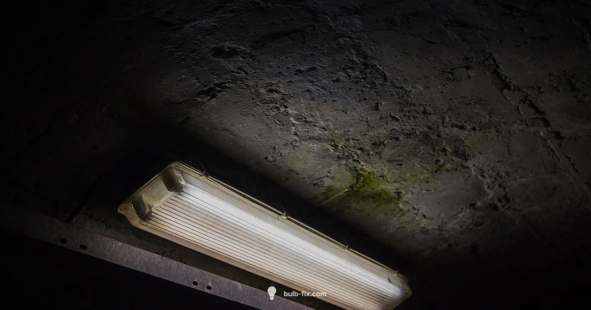 Bulb & Ballast Guide - Bulb Fix