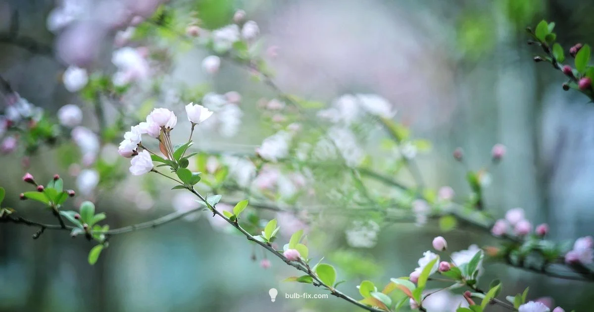 Colorful Bulb Garden - Bulb Fix