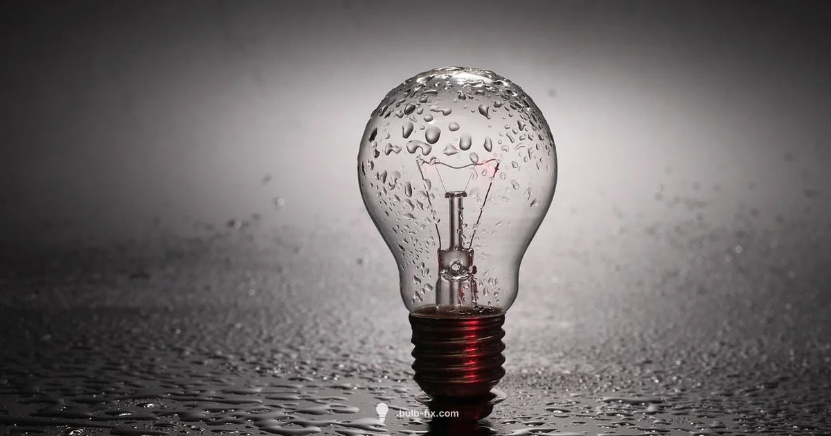 Broken Bulb Safety Broken Bulb Safety - Bulb Fix