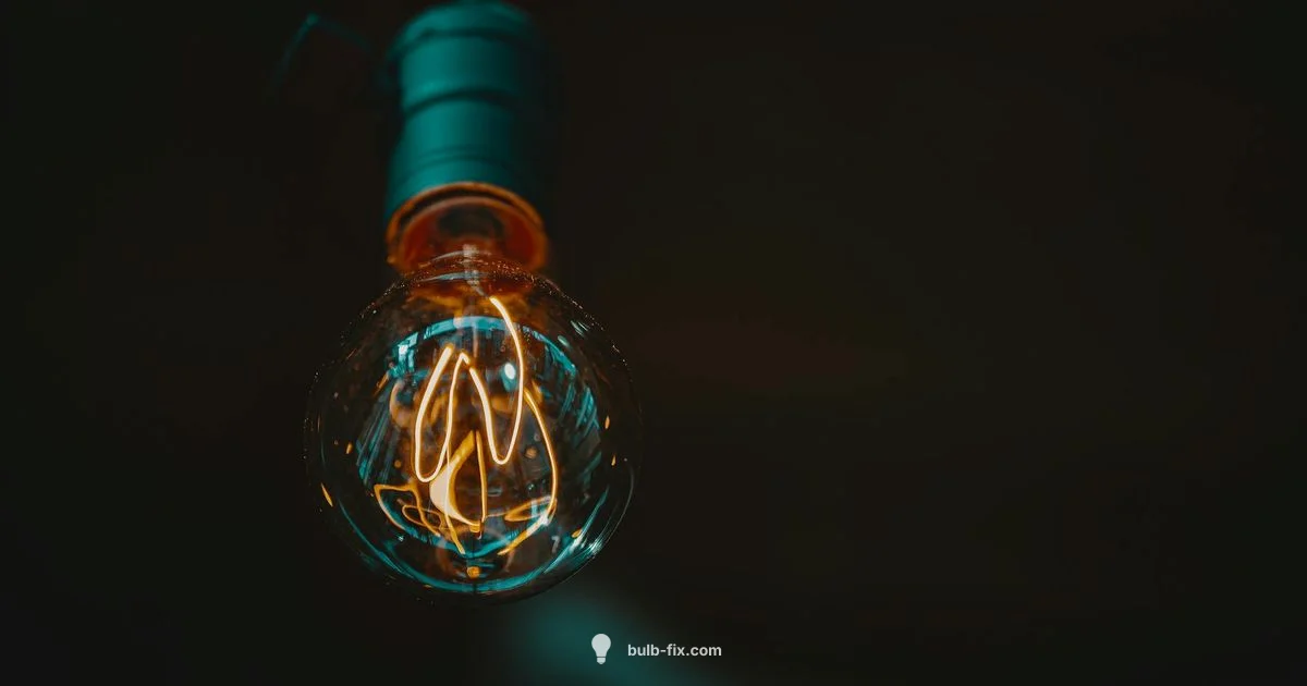 Led Edison Bulbs - Bulb Fix