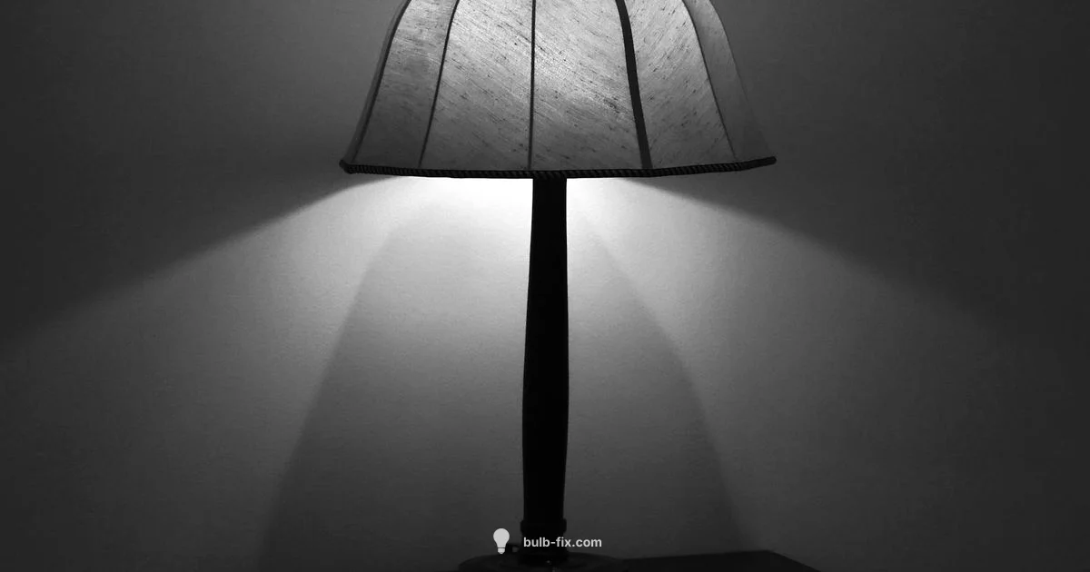 Dimmer Basics - Bulb Fix