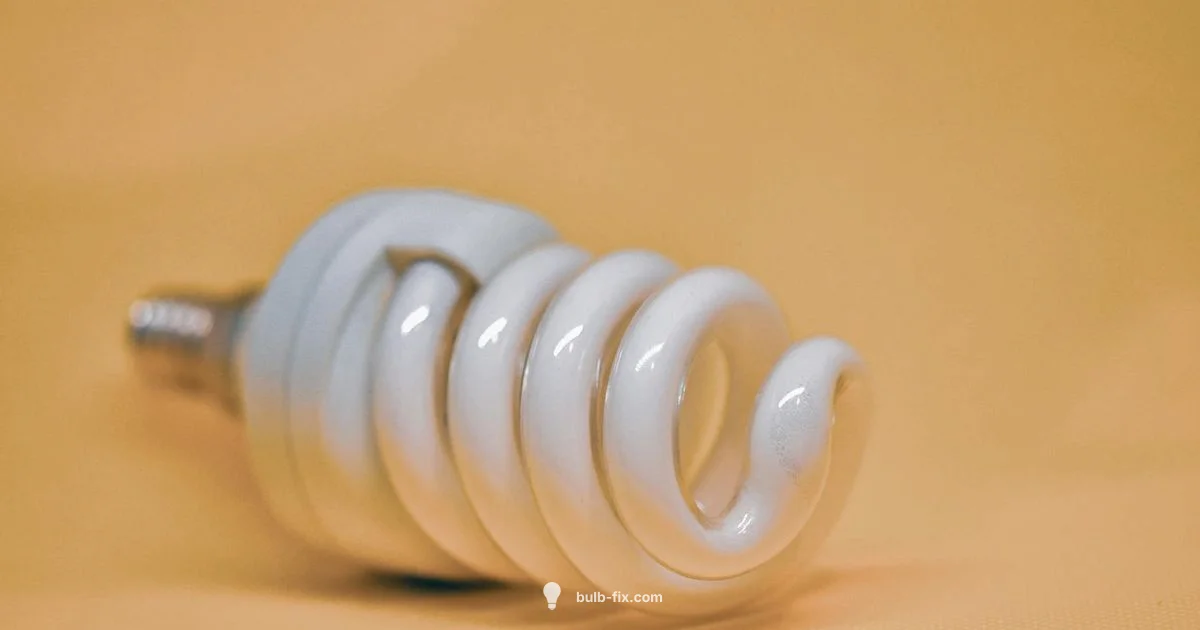 Fluorescent Bulb Change - Bulb Fix