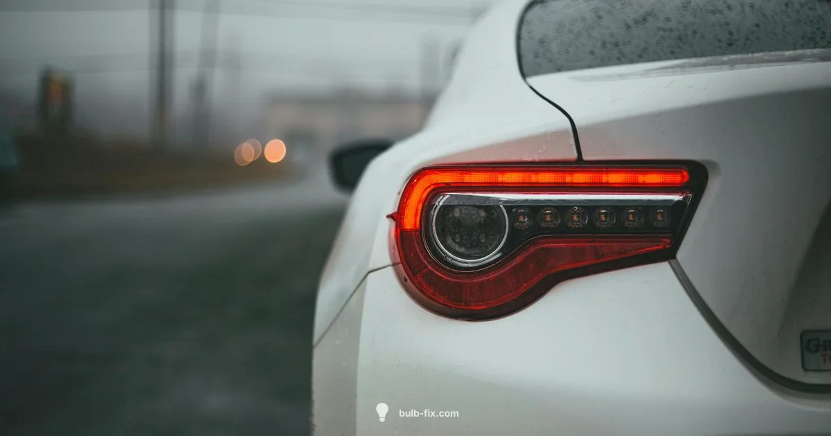 H8 Bulb Guide - Bulb Fix