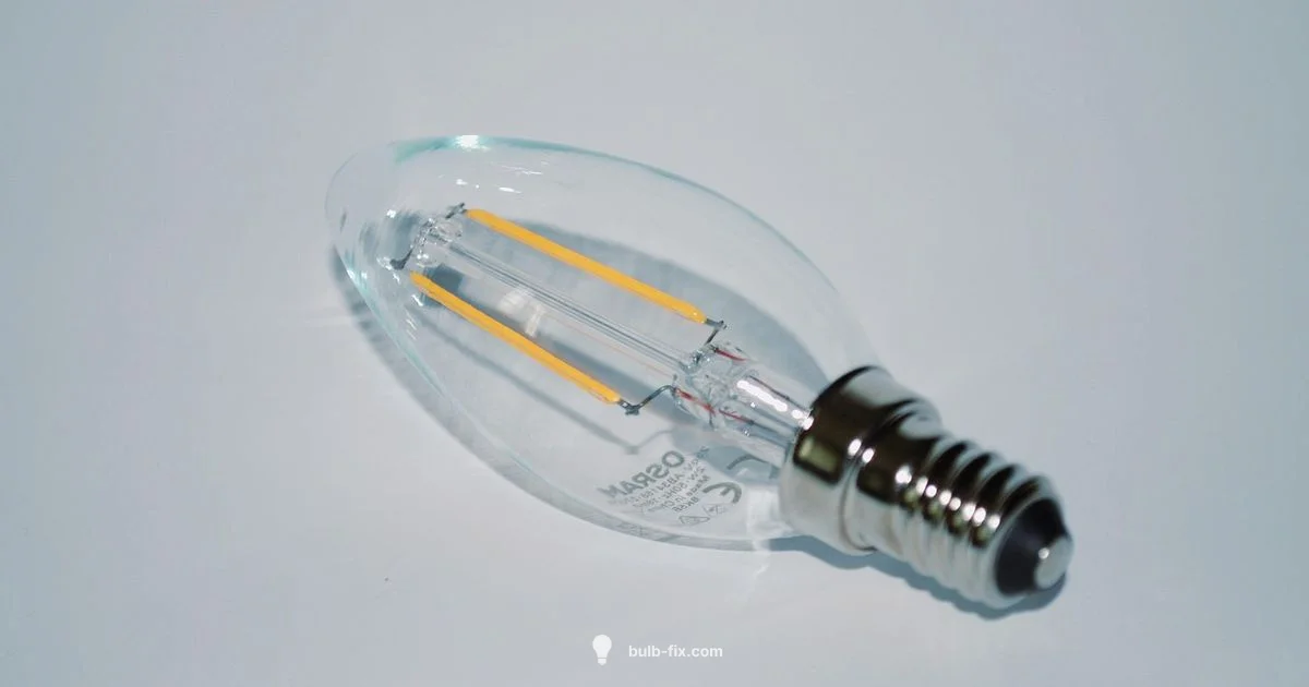 Bulb Invention History - Bulb Fix