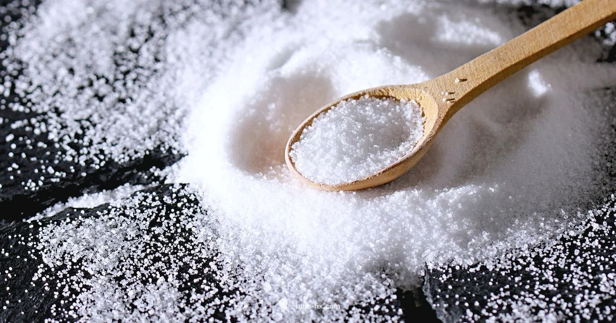 Large Salt Lamp Guide - Bulb Fix