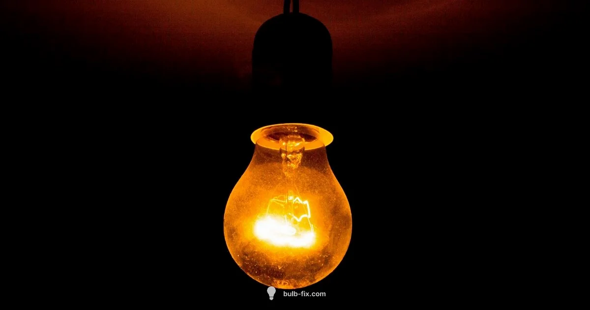 Safe Bulb Removal Safe Bulb Removal - Bulb Fix