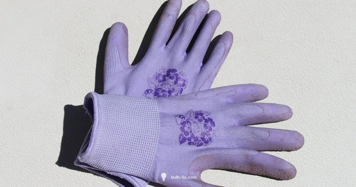 Bulb Protection Plan Bulb Protection Plan - Bulb Fix