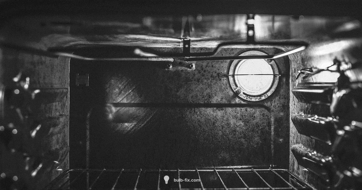 Oven Bulb Basics - Bulb Fix