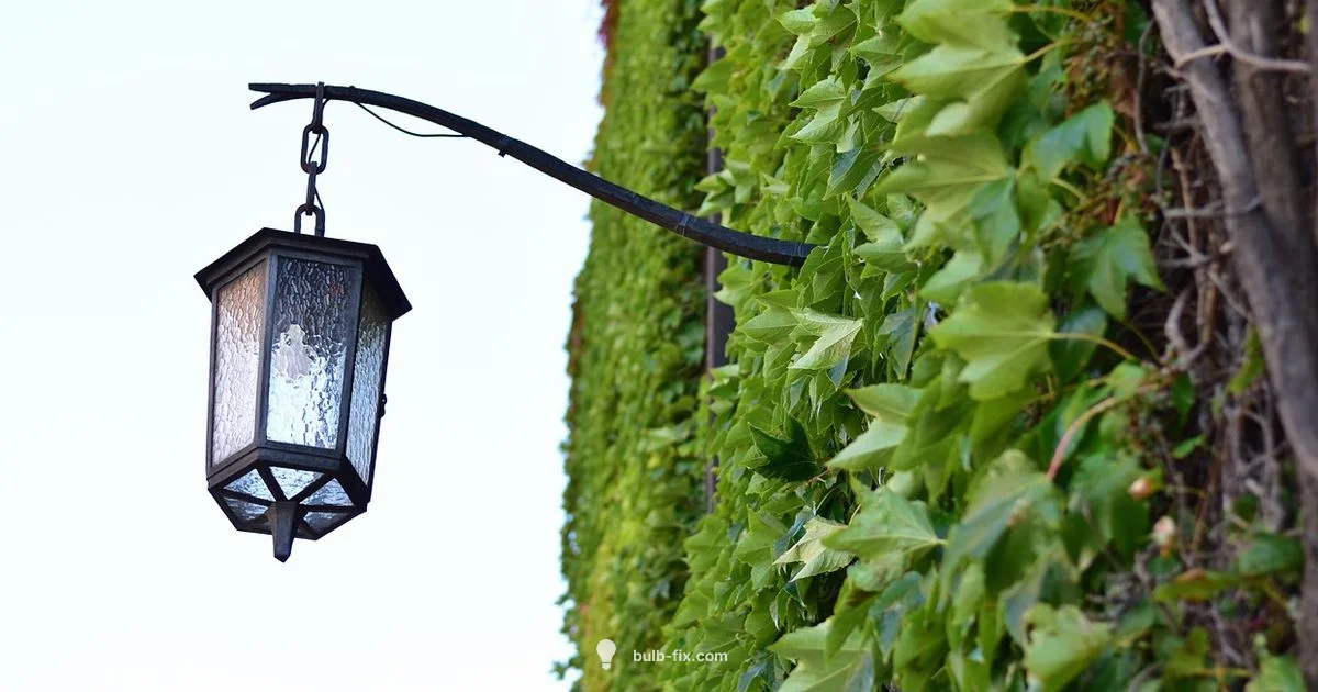 Outdoor Bulb Guide Outdoor Bulb Guide - Bulb Fix