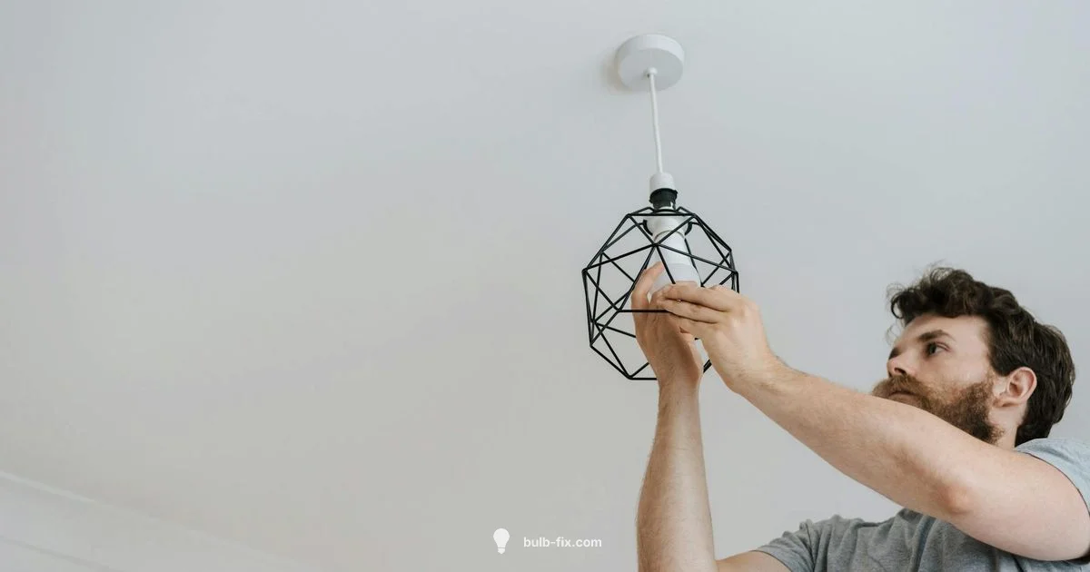 Bulb Check Guide Bulb Check Guide - Bulb Fix