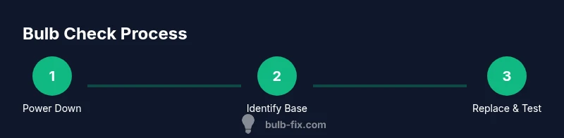 Infographic showing a three-step bulb check process