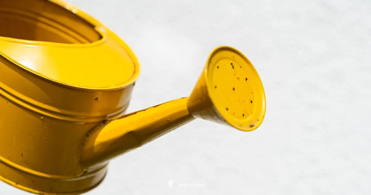 Watering Bulbs Watering Bulbs - Bulb Fix