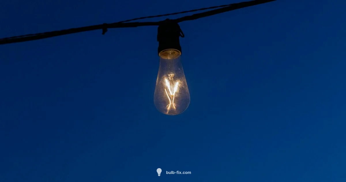 Backup Bulb Essentials - Bulb Fix