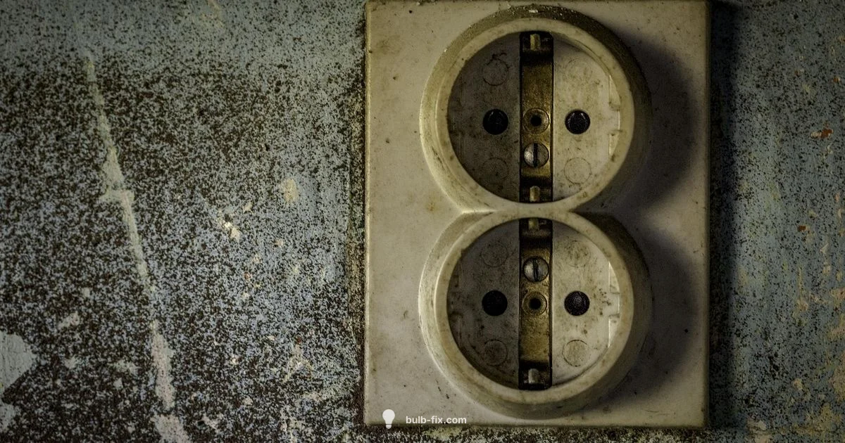 Bulb Base Guide - Bulb Fix