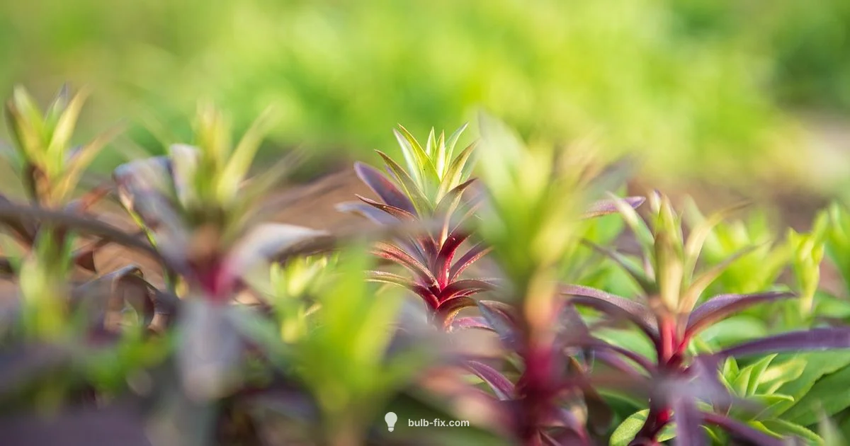 Grow Bulb Guide - Bulb Fix