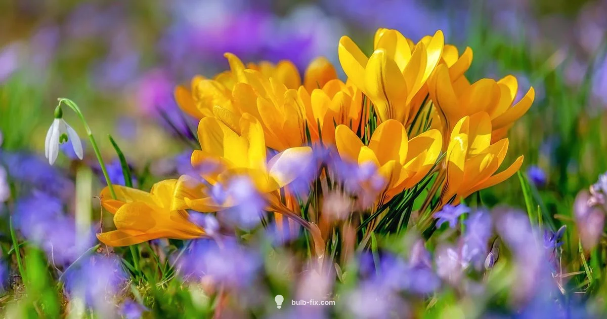 Bulb Plant Guide - Bulb Fix