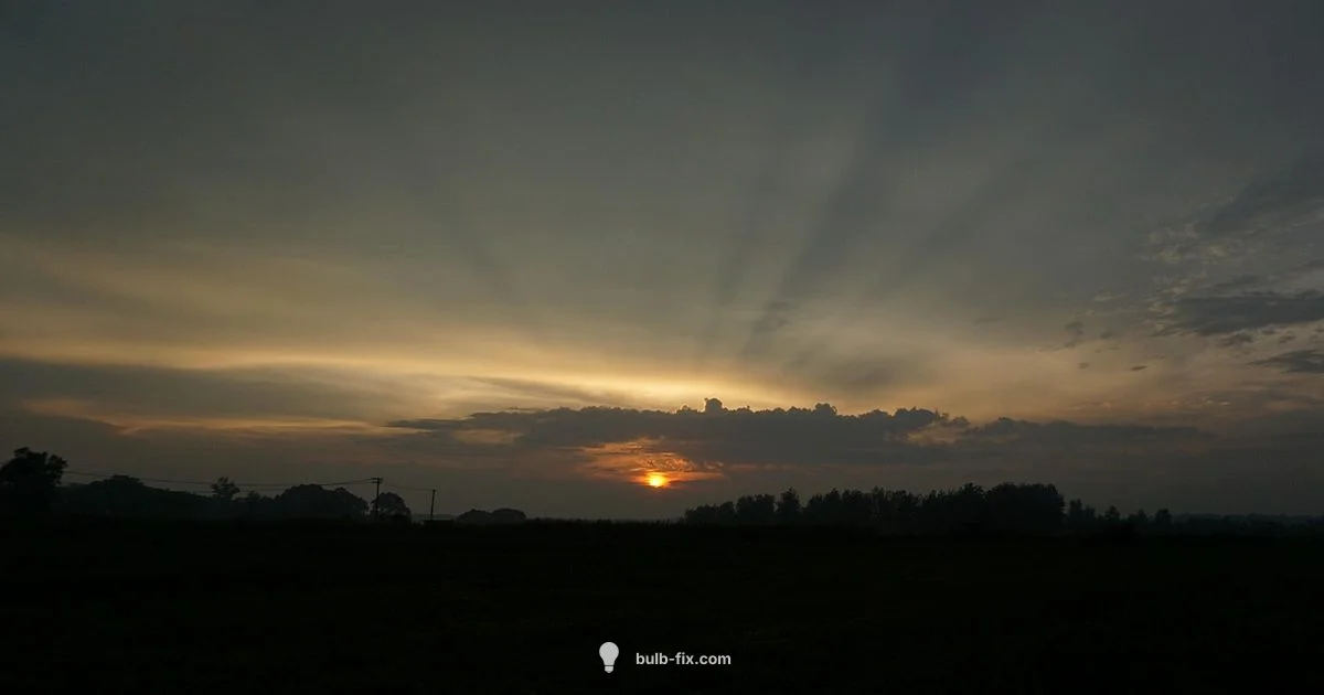 Big Bulb String Lights - Bulb Fix