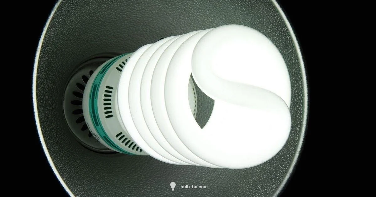 Disposing Fluorescent Bulbs Disposing Fluorescent Bulbs - Bulb Fix