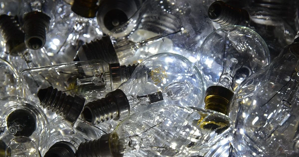 Bulb Safety Guide Bulb Safety Guide - Bulb Fix