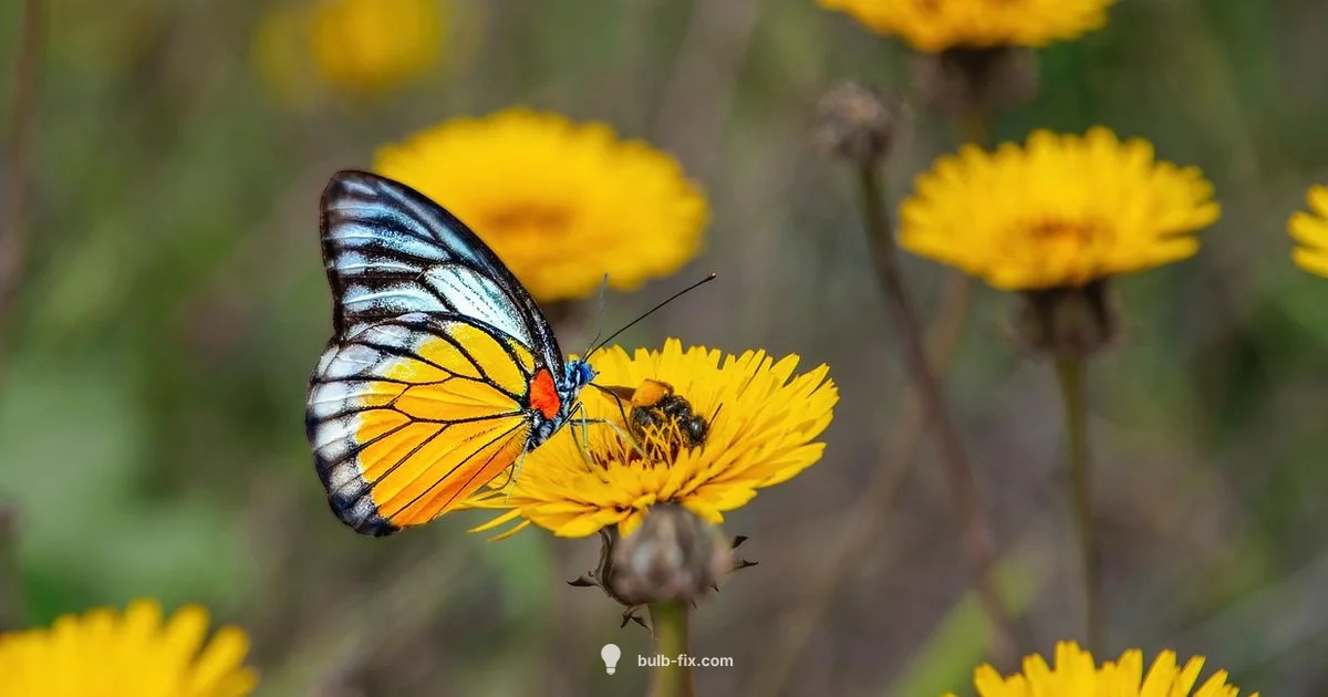 Bright Yellow Blooms - Bulb Fix