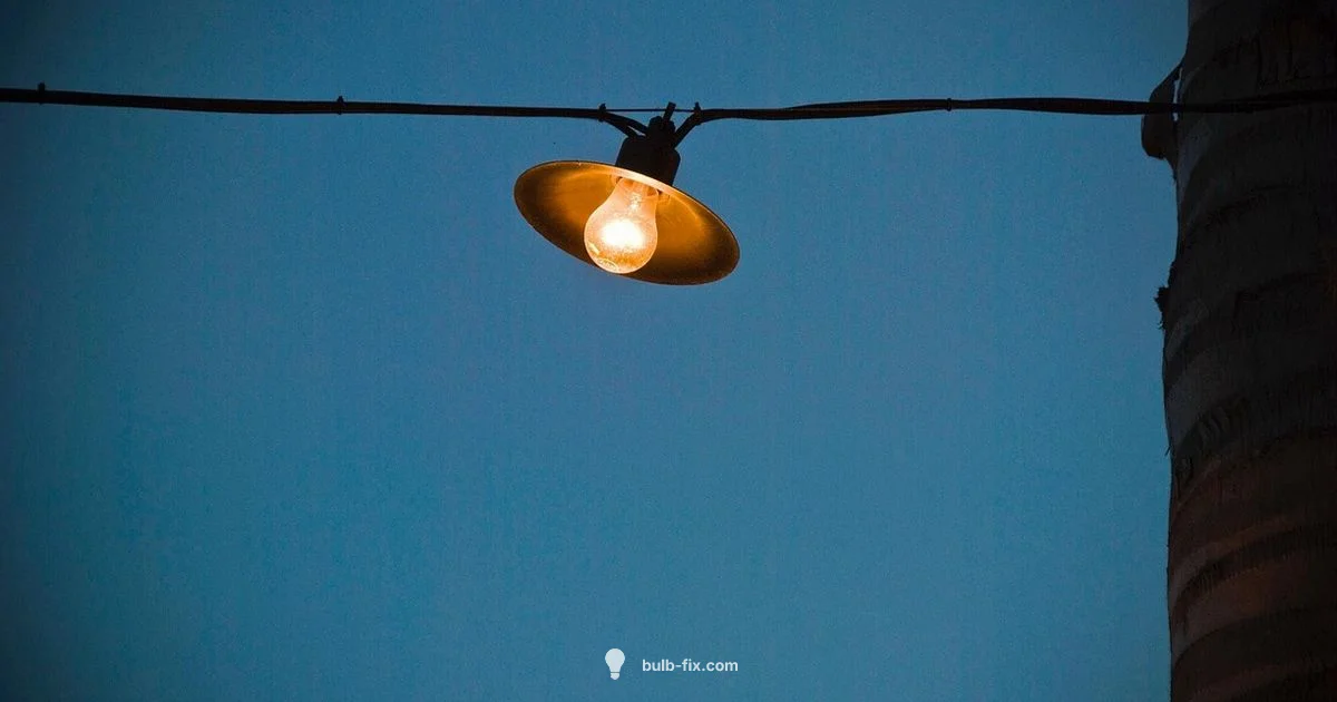 Which bulb lights up - Bulb Fix