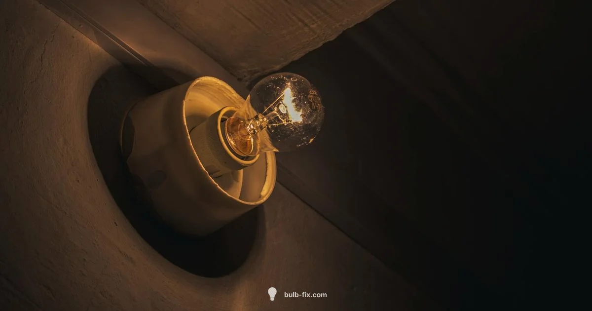 Type B 25W Guide - Bulb Fix