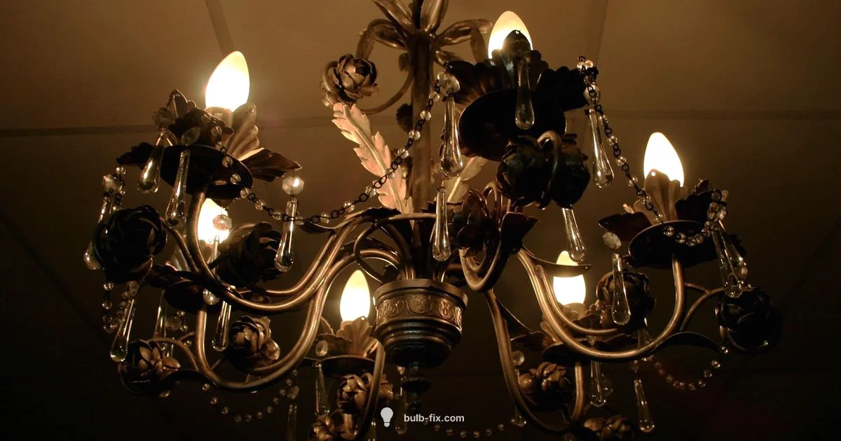 E12 Size Guide - Bulb Fix