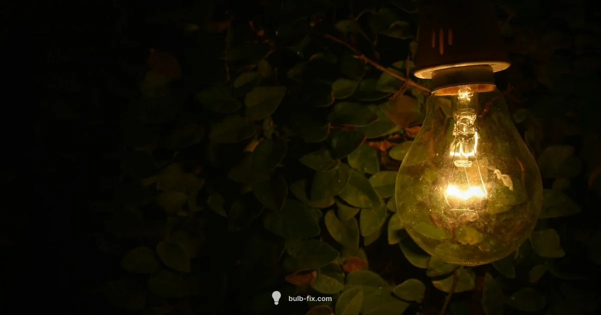 Grow Light Bulb Essentials - Bulb Fix