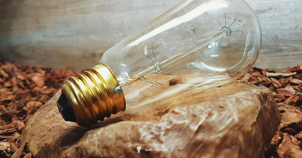 Broken Bulb Removal Broken Bulb Removal - Bulb Fix