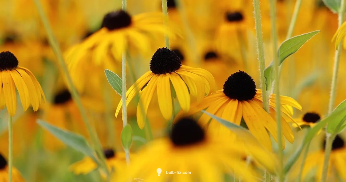 Bulb Digging Guide Bulb Digging Guide - Bulb Fix