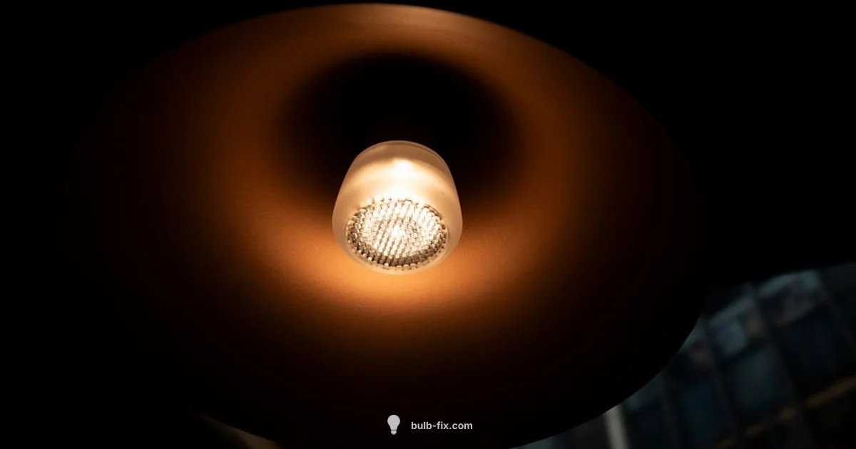 Bulb with Holder Guide - Bulb Fix