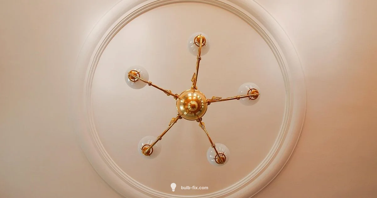 Ceiling Bulb Guide - Bulb Fix