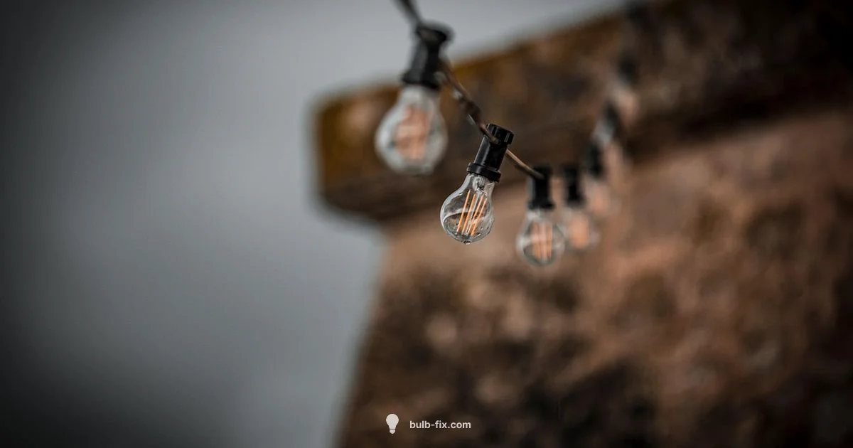 Turn Off VW Warning Turn Off VW Warning - Bulb Fix