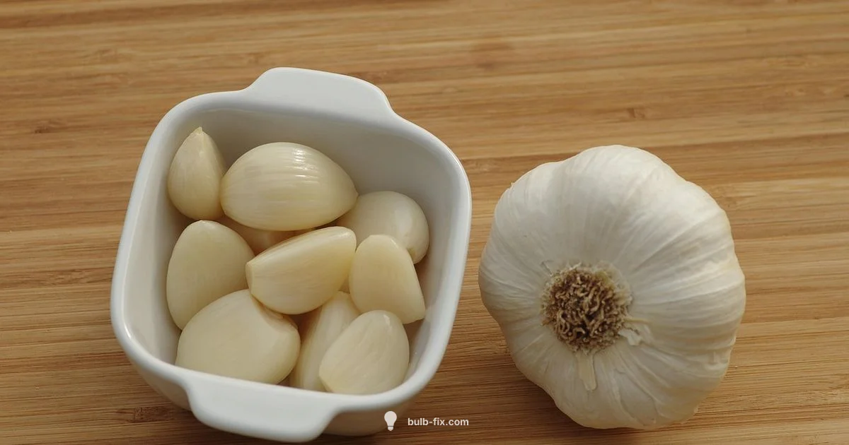 Garlic Basics - Bulb Fix