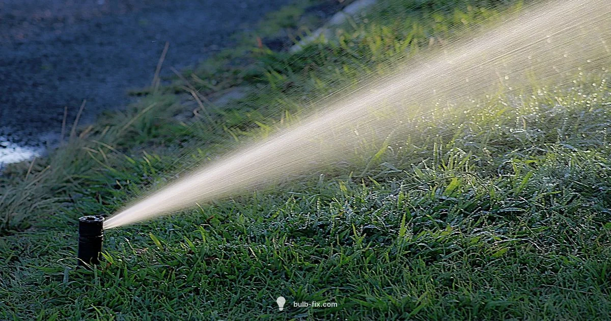 Water Bulbs Guide - Bulb Fix