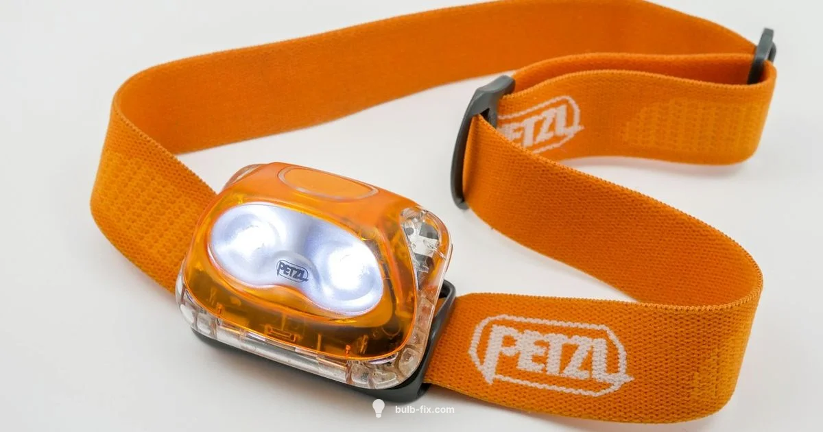 LED A19 Guide - Bulb Fix