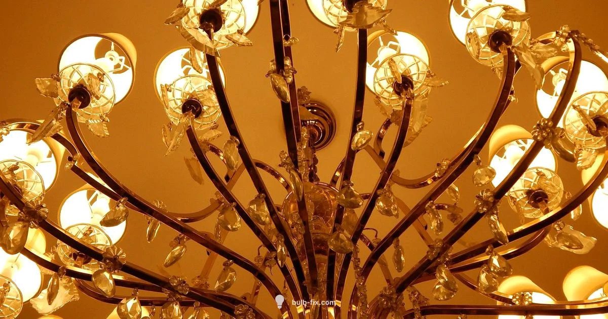 E12 Candelabra Guide E12 Candelabra Guide - Bulb Fix