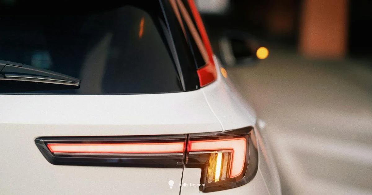 Auto LED Guide - Bulb Fix