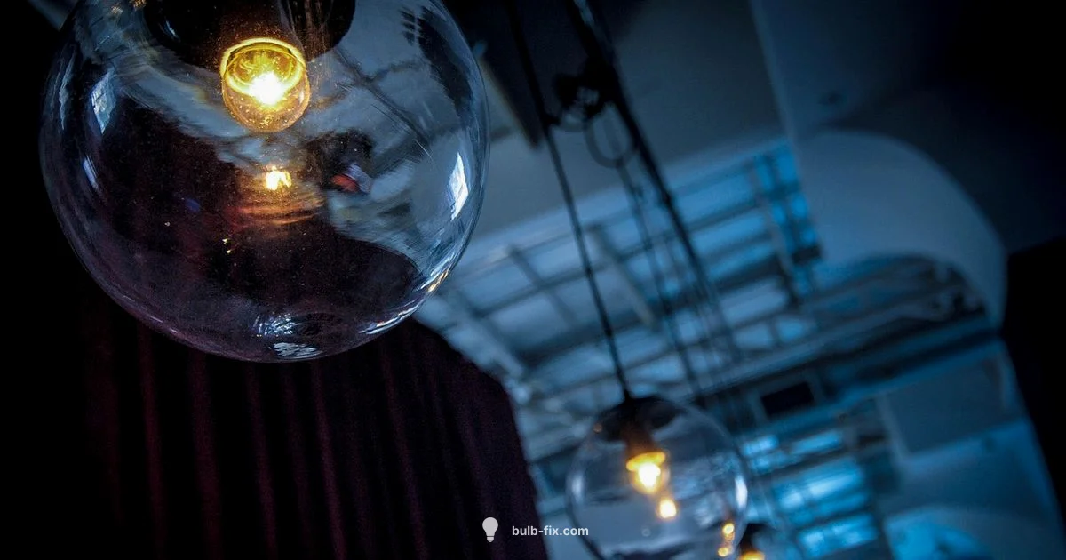 Specialty Bulbs Guide - Bulb Fix