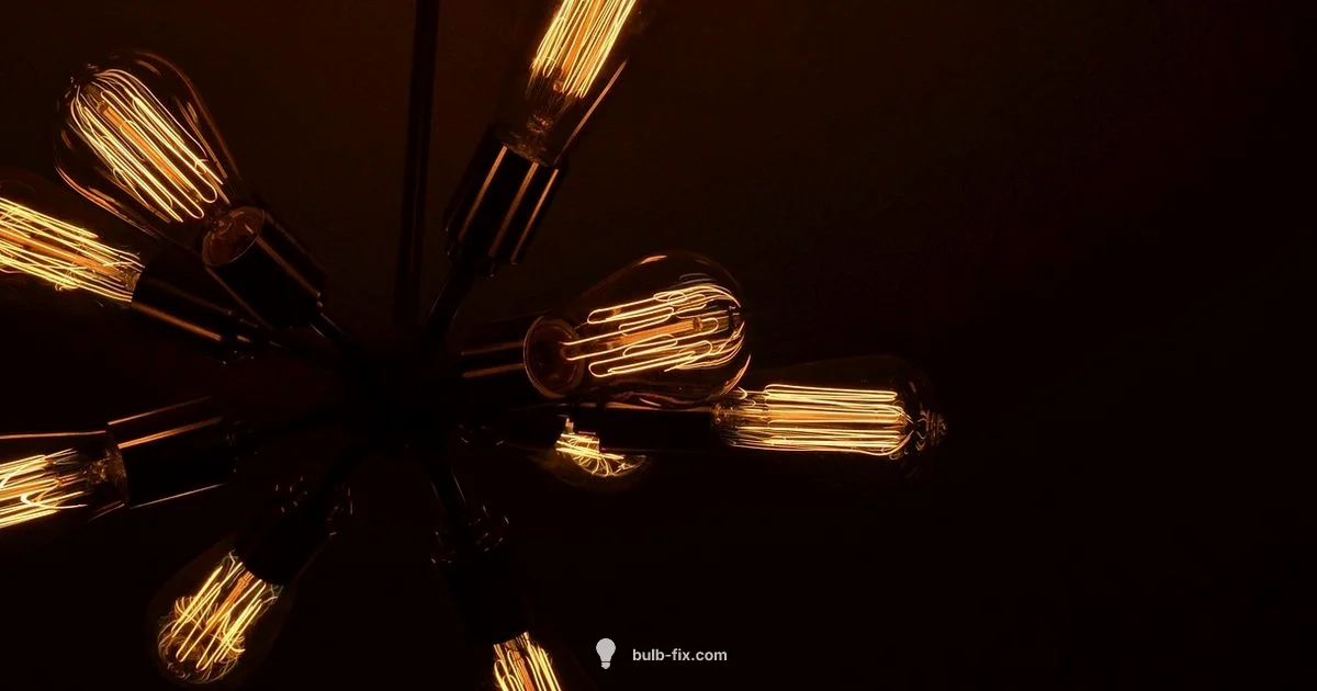 Bulb Light Install - Bulb Fix