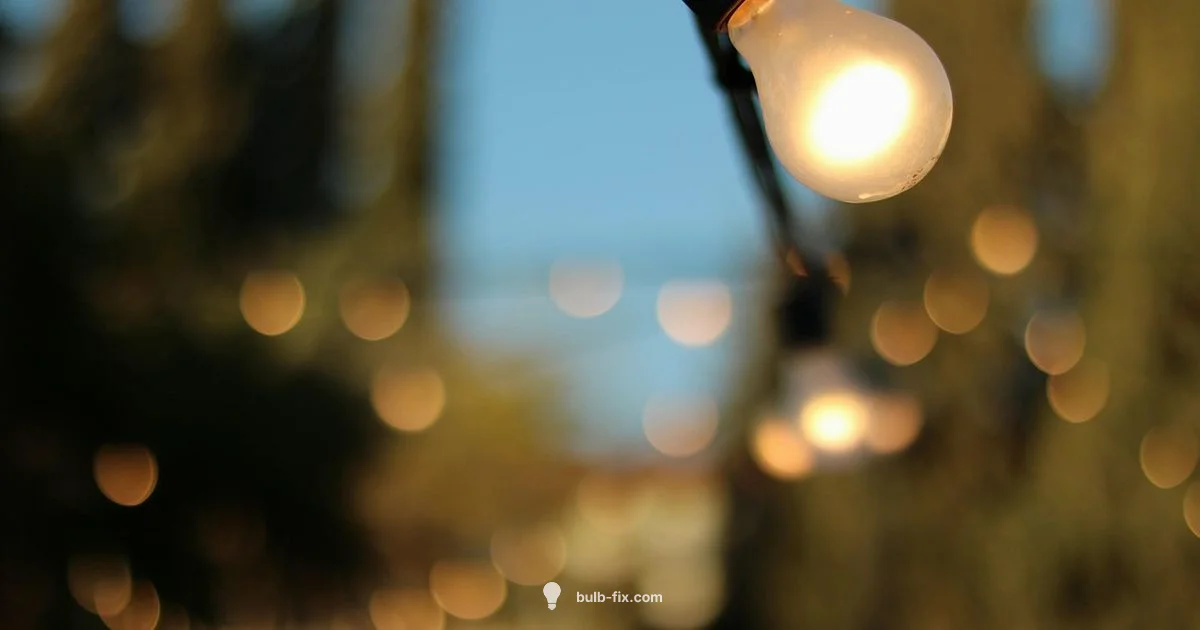 Winter Bulb Storage - Bulb Fix