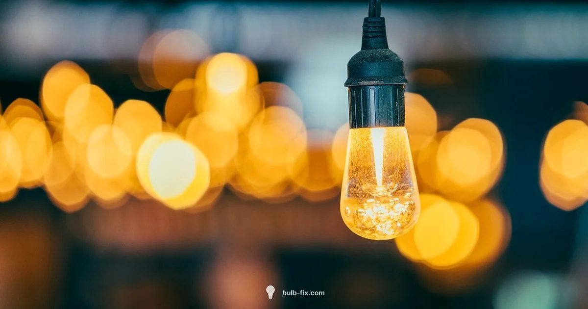 Three Way Lamp Guide Three Way Lamp Guide - Bulb Fix