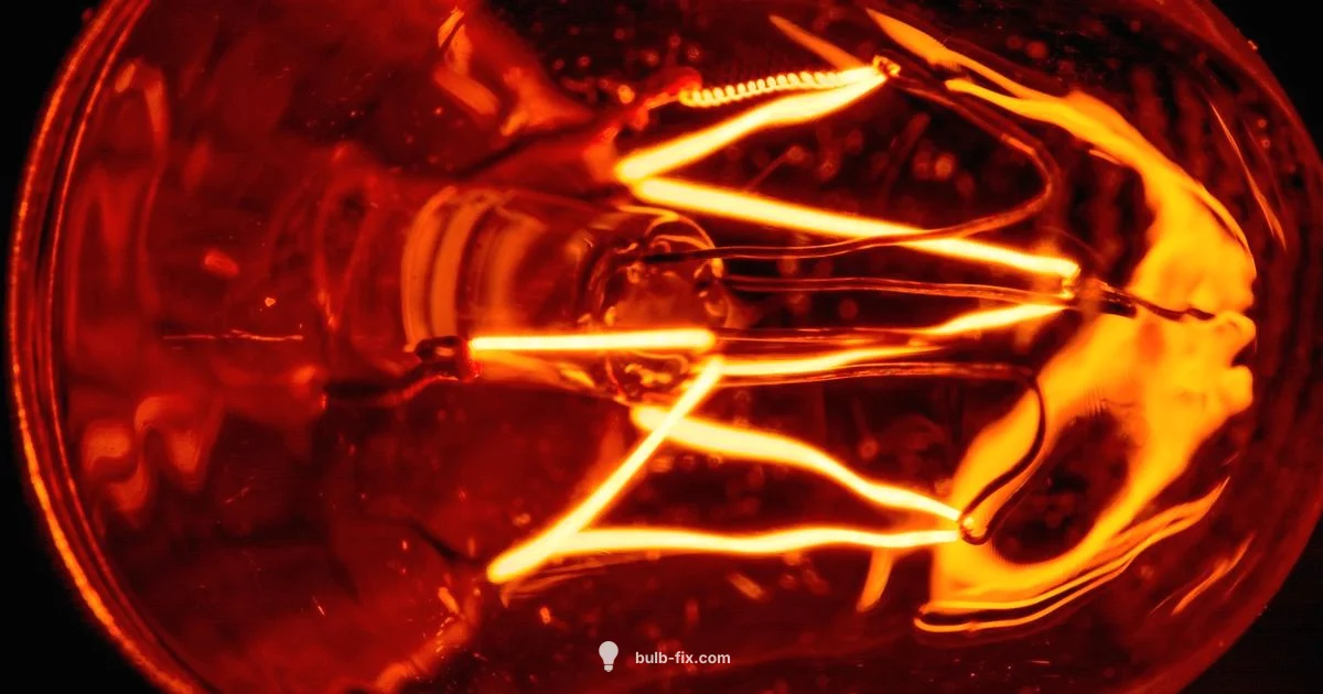 Filament Focus - Bulb Fix