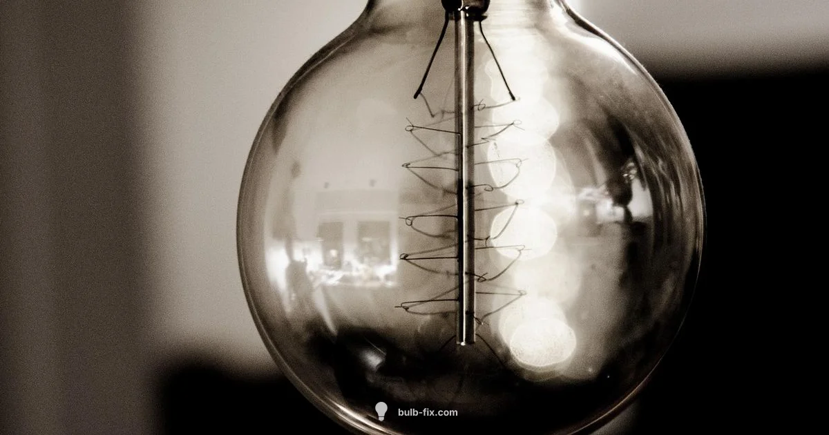 Bulb Moment Capture - Bulb Fix