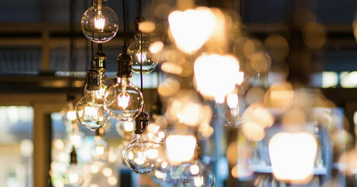 Long Life Bulb Guide - Bulb Fix